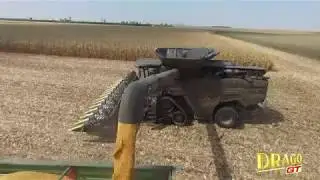 IDEAL 9T - DRAGO GT 12 rows - Corn harvest