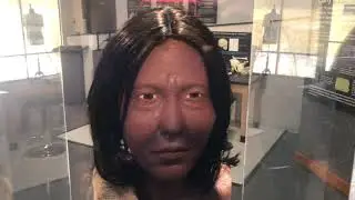 Brevard Museum of History and Natural Science ****, Cocoa, Florida
