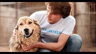 Are your volunteers risking legal and tax liability?