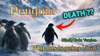 Viral Penguin Video Explained in Hindi/Urdu |Penguin Mountain Documentary|Penguin Going To Mountains