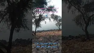 منڇھر جھيل Pakistan tourism # Hidden paradise #naturelovers  #Lake views #Scenic views #Travel vibes