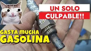 Jeep Grand Cherokee con  ALTO CONSUMO  de COMBUSTIBLE | Diagnóstico y Solución Usando el Escaner 💯✔