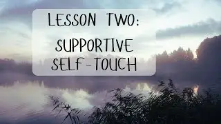 Lesson 2: How Gentle Touch Helps The Body and Mind Settle