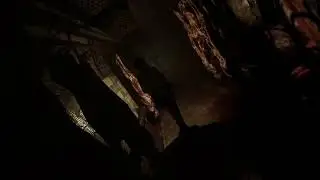 Nice jump scare -- Tormented Souls 2