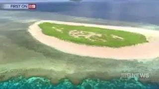Major operation underway to save the Green Sea turtle on Raine Island