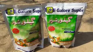 Spray For Growing Fruit Trees Use Pesticide  Fungicide Spray Citrus Trees Lemon Plant In Urdu Hindi