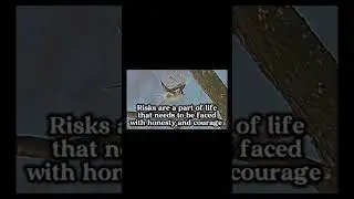 Honesty and Courage
