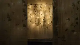 New year 2024 Celebrations and Decorations at home with family #newyear #celebrations #2024 #couple
