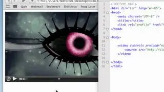 Rich Media in HTML5 - Video