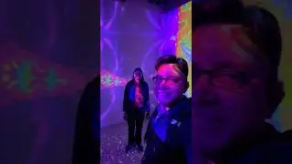 Weekend fun at WNDR museum Boston, USA | part-1