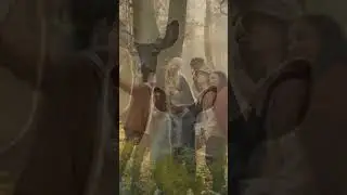 Wild Watching Humans I Was denken sie wohl? #animals #wildlife #humor #funny #shorts