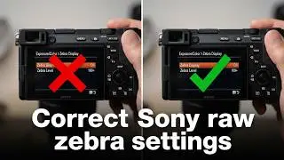 Sony Zebras - why 
