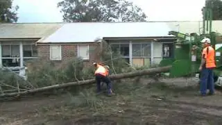 Bandit Model 1890, 1890XP Wood Chipper with winch - 50 foot Australian tree.