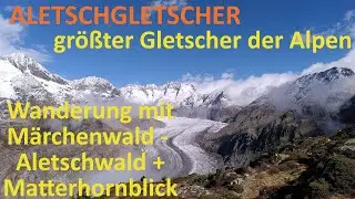 Panorama-Wanderung zum Aletschgletscher mit Aletschwald + Matterhorn-Blick von Riederalp im Wallis