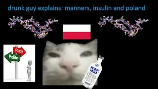 drunk guy explains: manners, insulin and poland