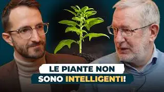 L'intelligenza delle piante: tanto marketing e poca scienza? | Marco Ferrari - La Scienza sul Divano