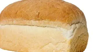 HaMotzie song