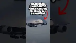 What Makes the GIGANTIC Airbus A380 Fly So Slowly Yet Beautifully? #aircraft #airbus380 #airtravel