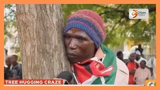 A 43-year-old man now seeks to set a 96-hour tree-hugging record