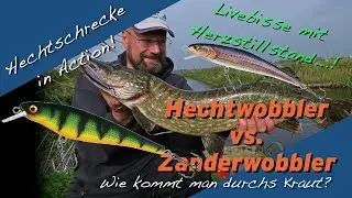 Matze Koch, die Hechtschrecke