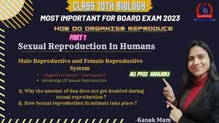 Sexual reproduction in human beings | | Class-10 th biology #cbseboard2023 #reproductioninhumans