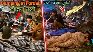 Jungle Survival Campaign ! Primitive Survival Skills ! Fish Cooking in Forest ! Real Survivor