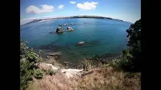 Motuihe Island - January 2022