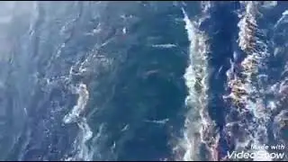 South China Sea-The Bashi Channel