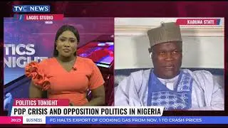 Analysing PDP Crisis And Opposition Politics In Nigeria
