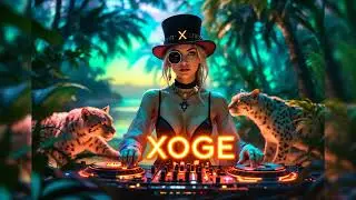 Xoge The Grand Architect of Multichain Web3 Project: Multichain on DLTs - Art by Denarii Reworks!