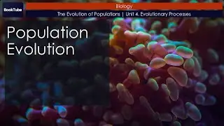 Population Evolution | The Evolution of Populations | Unit 4. Evolutionary Processes