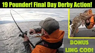 19 Pounder! Final Day 2024 Juneau Salmon Derby Action! Alaskan Salmon Fishing - Juneau, Alaska!