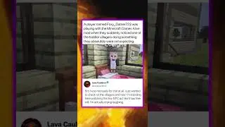 A player was playing with the Minecraft Comes Alive mod...