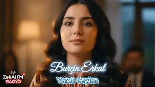 Yaralı Ceylan | Burçin Erkal – Yeni Şarkı 2026 – Zekai FM 🦌💔🎧