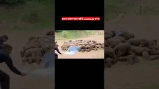 NSG training video capf training video #army #sscgd #crpf #bsf #itbp #ssb #cisf #trending #armylover