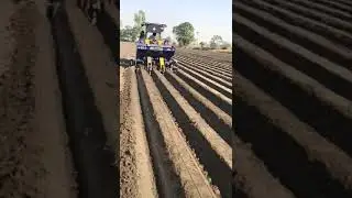 potato Planter 3 Row