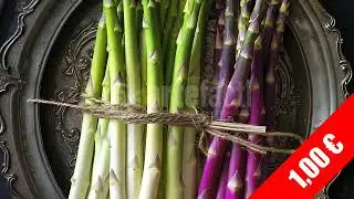 Twine-Bound Asparagus on Textured Plate | HD Stock Footage