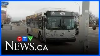 City looking to expand transit fleet