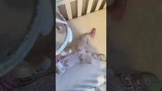 Owlet Dream Sock