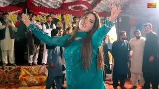Hoya Hal O Wang Dewaneya De | Pari Paro | Dance Performance Shaheen Entertainment