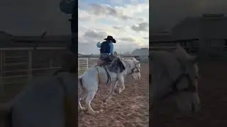 College Rodeo Practice Today February 2023