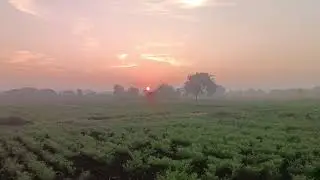 सकाळची सुरुवात आणि शेतीतील रम्य वातावरण