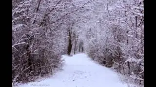 Winter Wonderland in my neighborhood