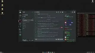 Rainer Raider - Official Release (Discord Raid Tool)
