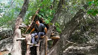 Building a TREE Shelter in the Forest - Bushcraft Survival Shelter