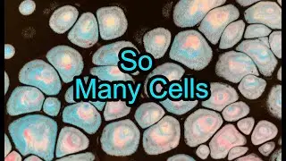 Multi~Colored Cells 