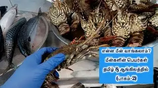 Fish Facts: மீன்களின் பெயர்கள் தமிழ் & ஆங்கிலத்தில் | Names of Fishes in Tamil & English (Part-2)