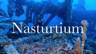 HMS Nasturtium Wreck in Malta