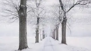 49 Minute Soothing Sounds to Ease Your mind| Relaxation and Calming Energy| Sounds of the Spa