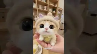 #cat #catvideos #anabul #kucing #masukberanda #youtuber #viral